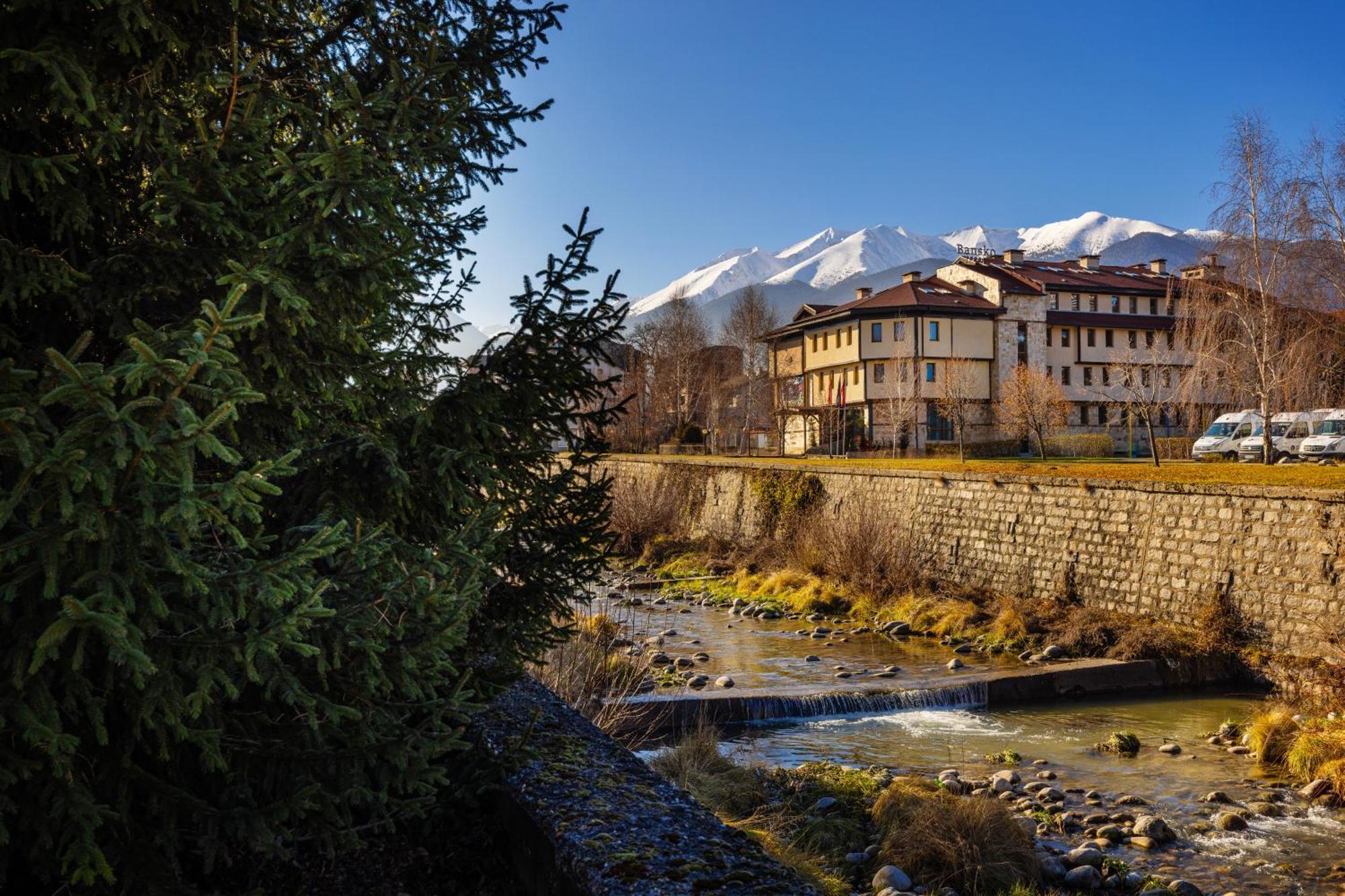 Coliving Bansko, The Social Hotel By Networking Premium Банско Экстерьер фото